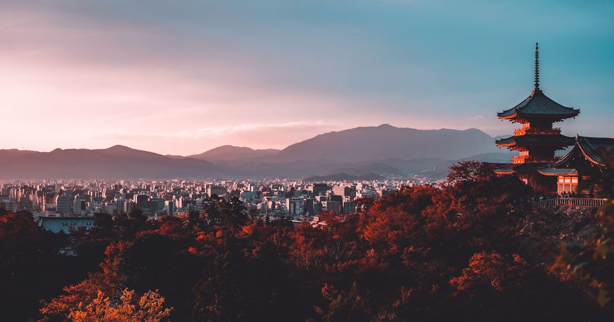 Colorful autumn foliage koyo leaves in Japan during fall season