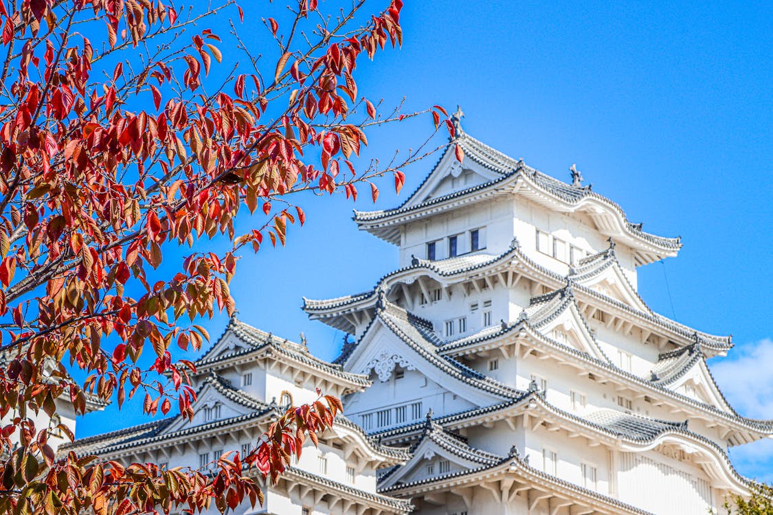 Fukushima Japan