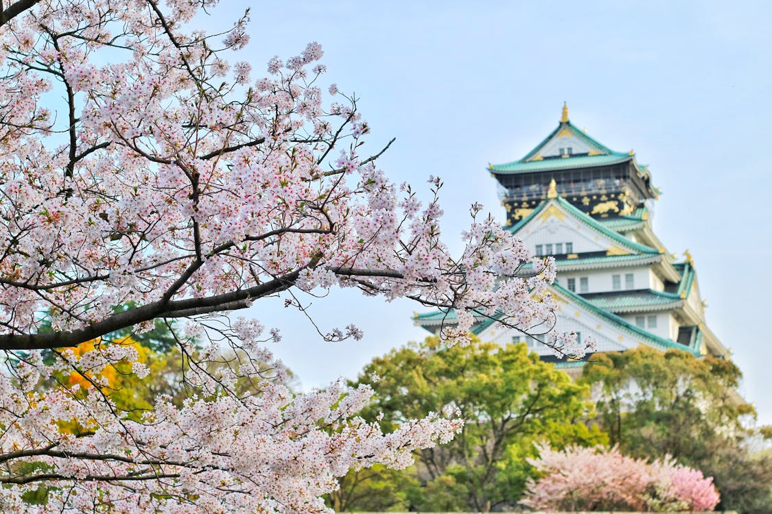 Yamaguchi Japan