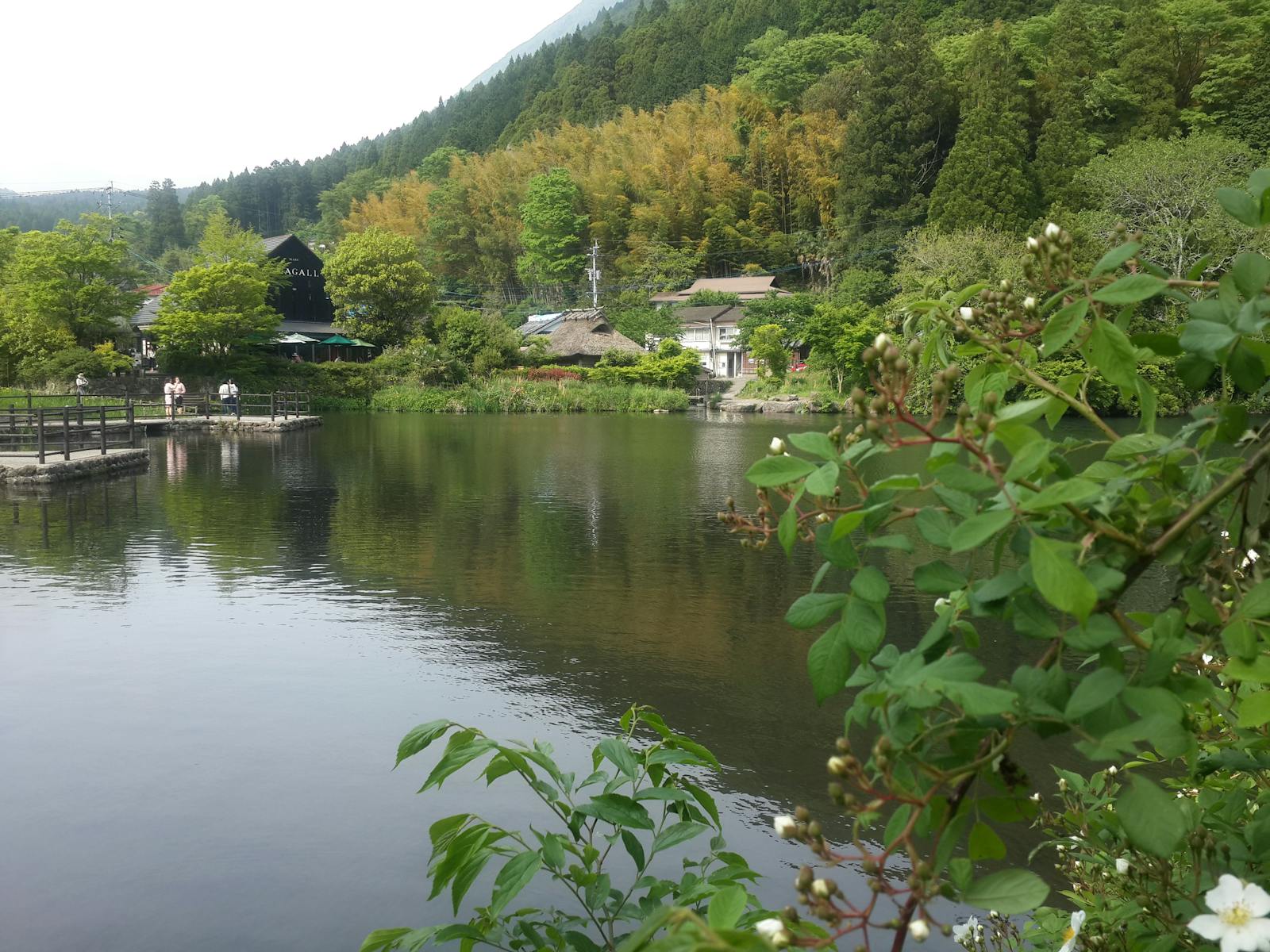Yufuin lake with Mt Yufu, Oita Prefecture Japan