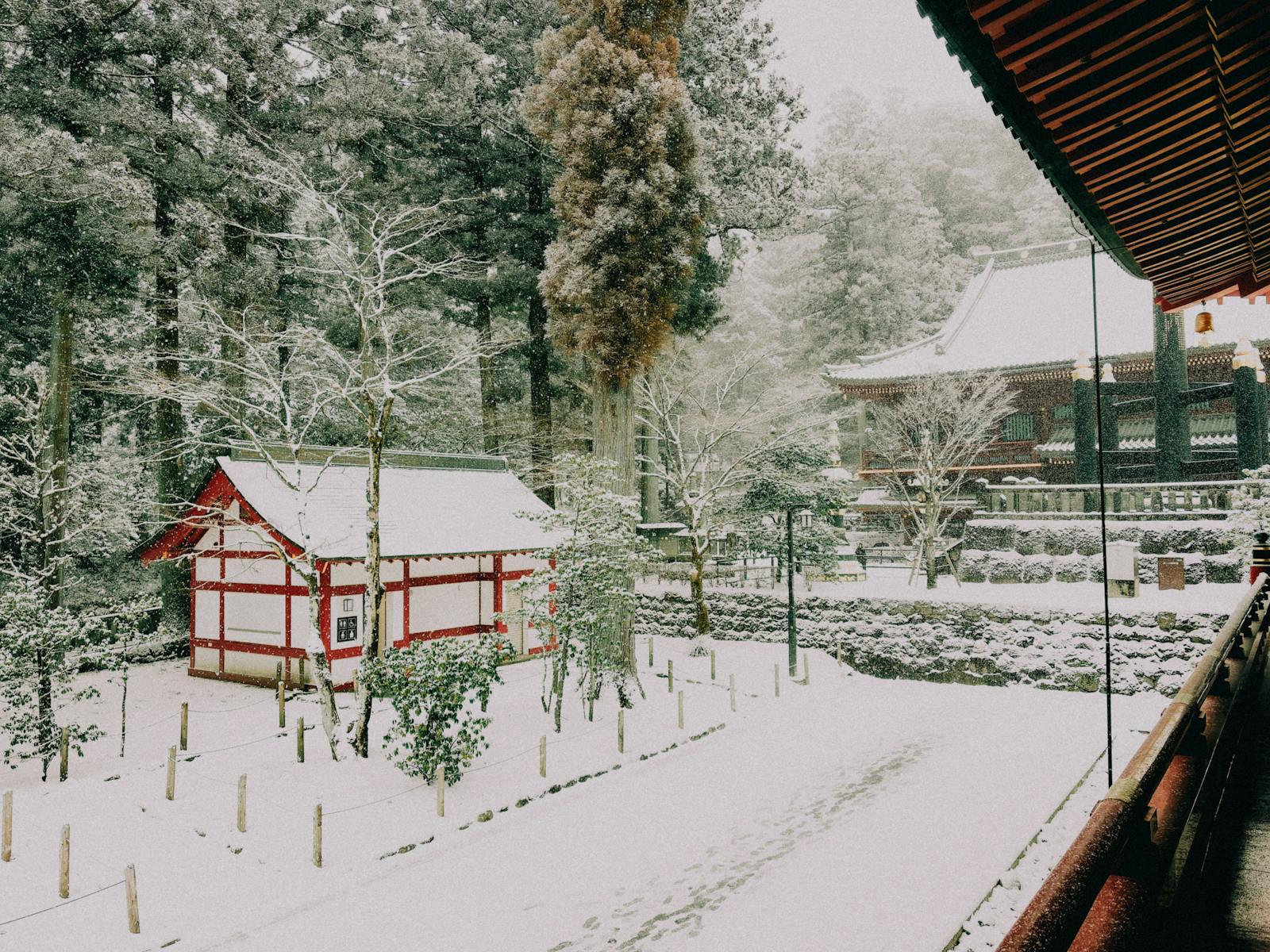 Nikko Toshogu Shrine in winter, Tochigi Japan