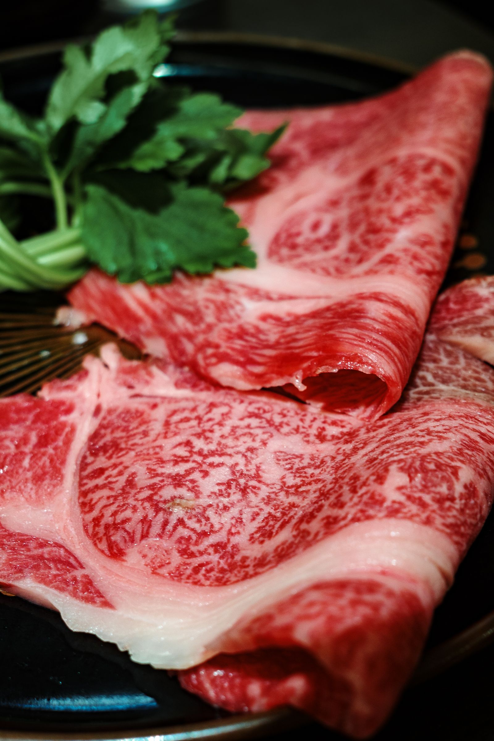 High-quality marbled Japanese wagyu beef slices on a plate