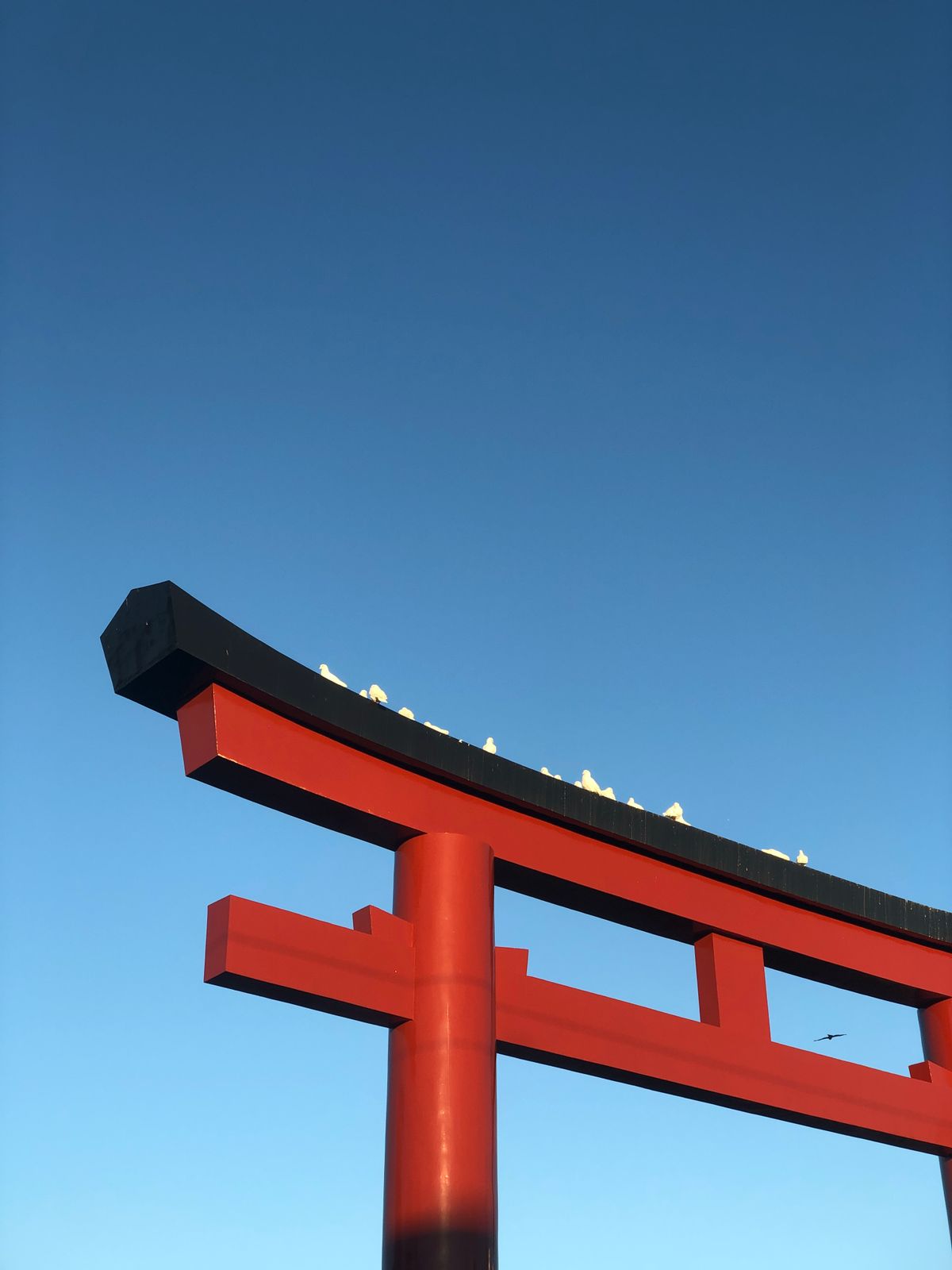 Red torii gate at a Kirishima shrine against a clear blue sky in Kagoshima, Kyushu