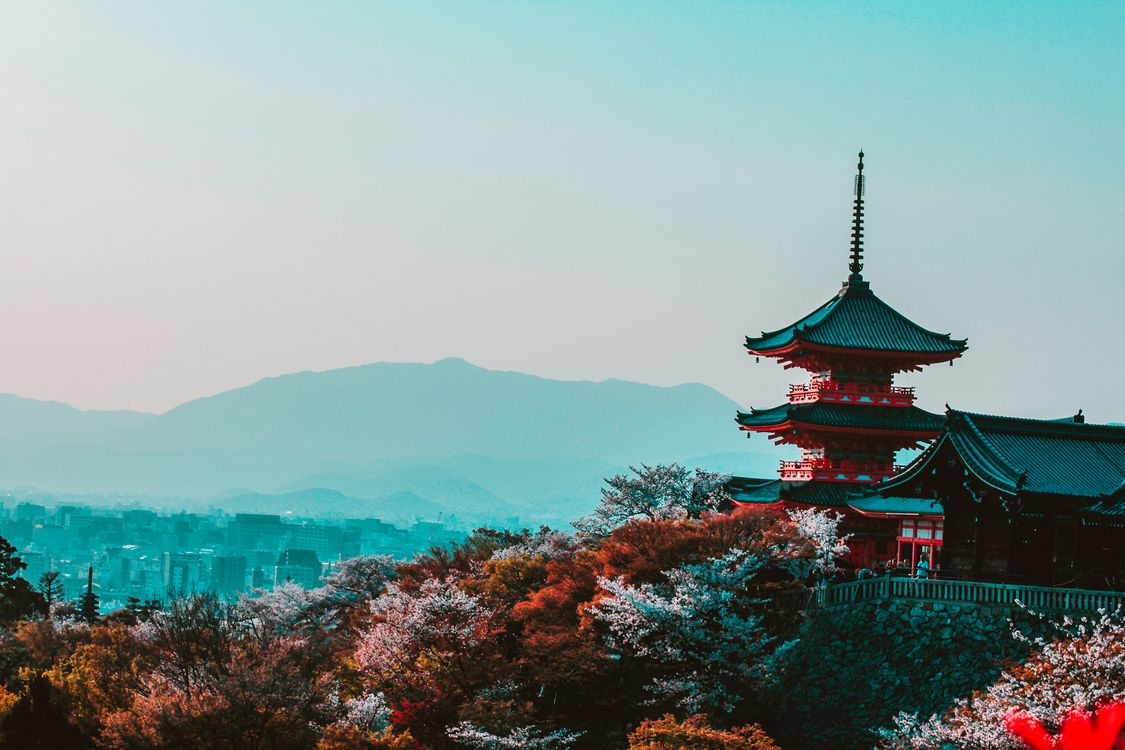 Historic temple near Kyoto perfect for day trips