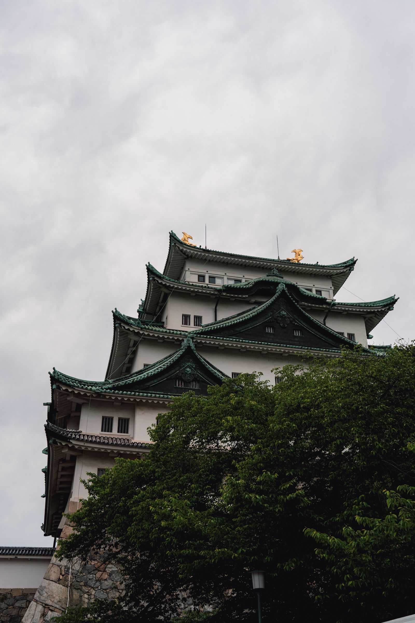 Nagoya Castle main keep with traditional architecture and golden roof ornaments in Aichi, Japan