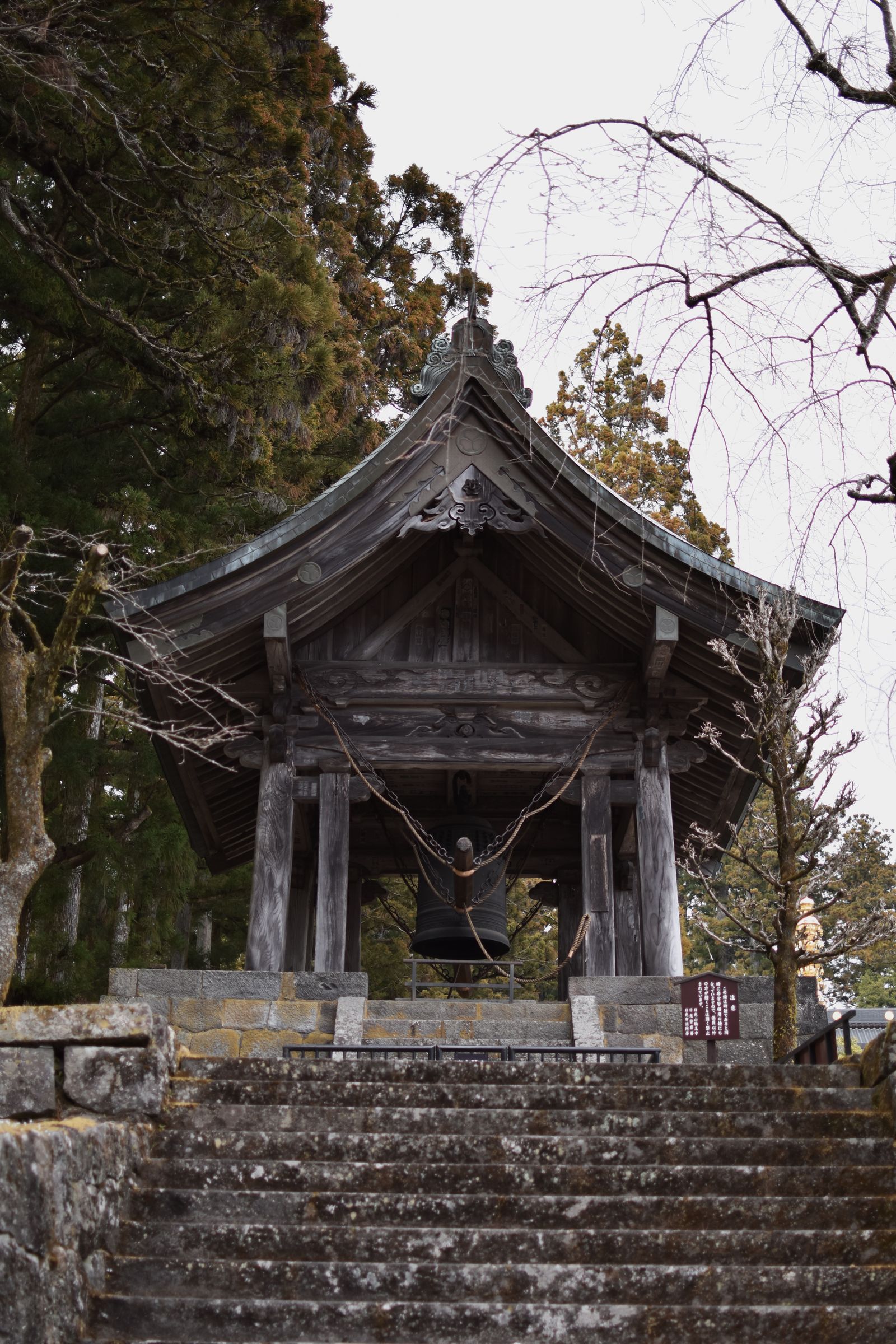 Stone staircase leading up to a mountain temple framed by autumn foliage in Japan