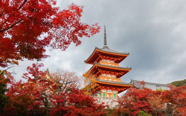 Red autumn maple leaves at a temple in Kyoto