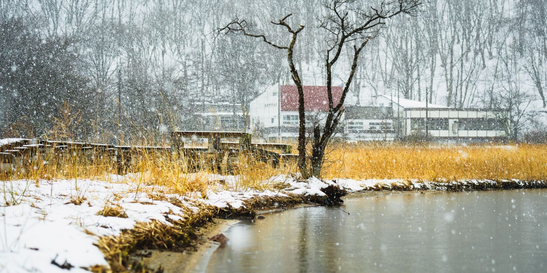 Snow falling over a lakeside in Takasaki, Gunma Prefecture