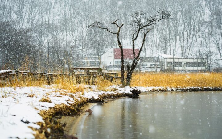 Snow falling over a lakeside in Takasaki, Gunma Prefecture