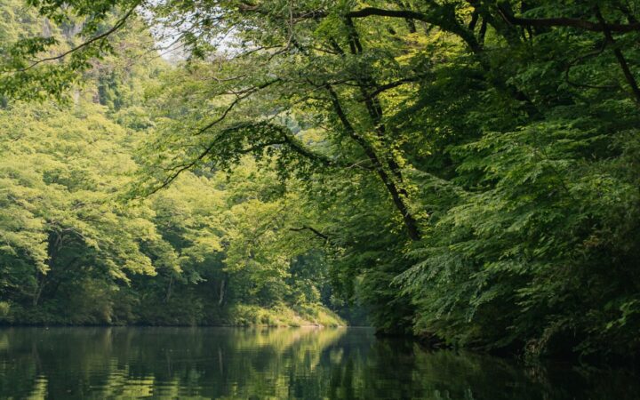 Calm tree-lined river in Ichinoseki, Iwate Prefecture, next to Hiraizumi