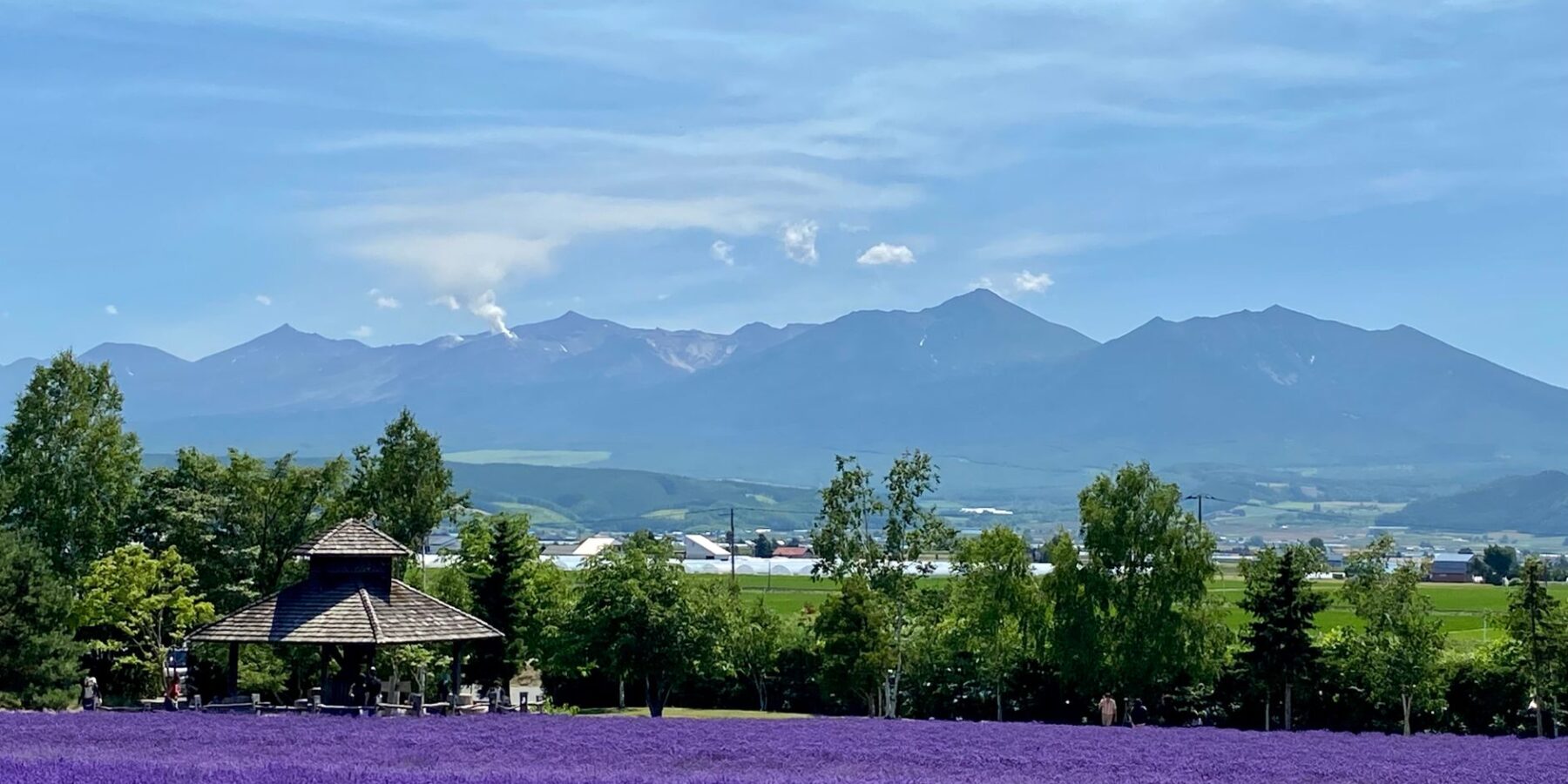 Purple lavender fields with the Tokachi mountains in Nakafurano, Hokkaido, Japan