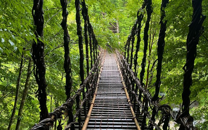 Iya Kazurabashi vine bridge in the green Iya Valley, Tokushima