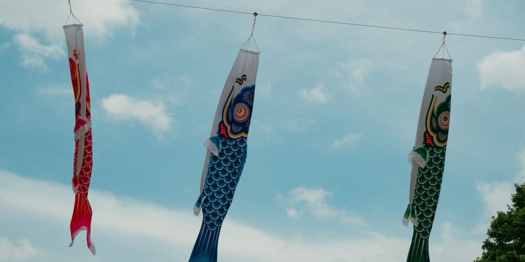Koinobori carp streamers flying for Children's Day during Golden Week in Japan