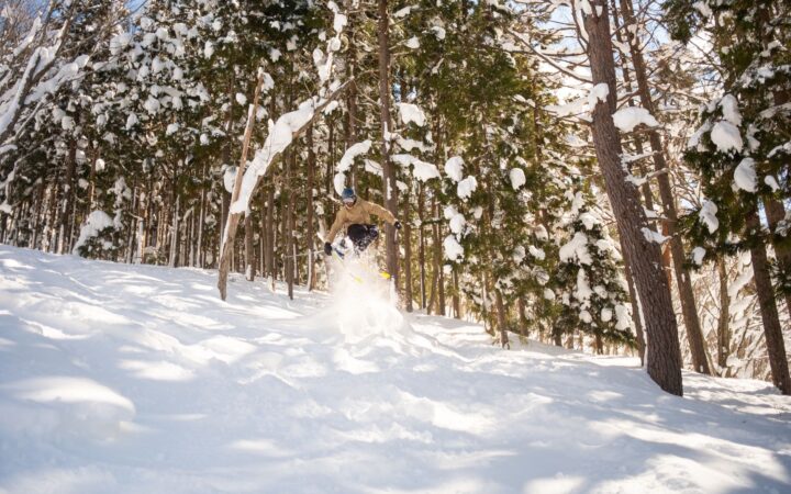 A snowboarder riding fresh powder through a snowy forest in Japan