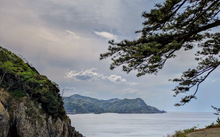 Sea of Japan coastline seen from a pine-shaded cliff path in Kami, northern Hyogo