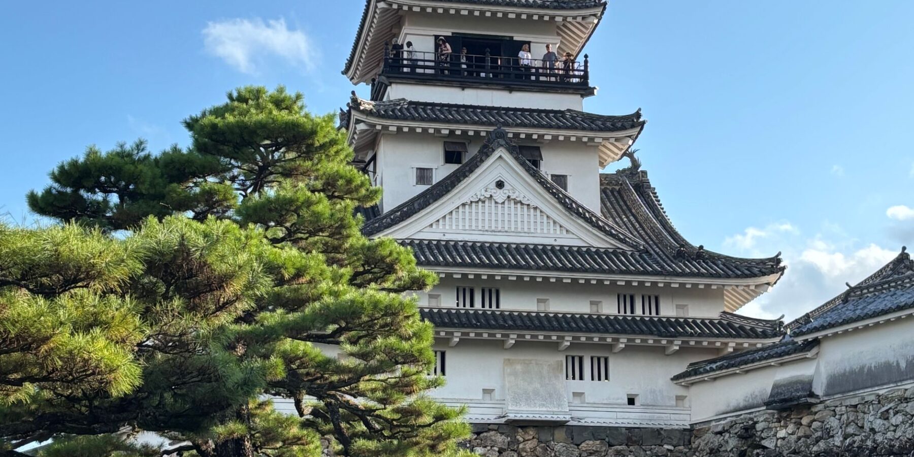 Kochi Castle keep above stone walls and pine trees in Kochi, Japan