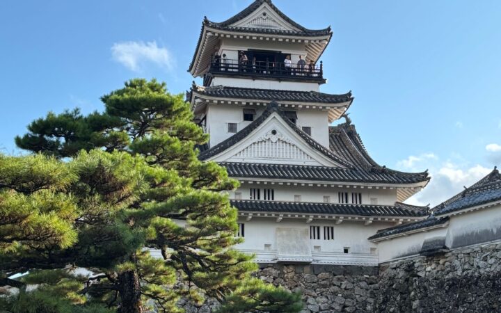 Kochi Castle keep above stone walls and pine trees in Kochi, Japan