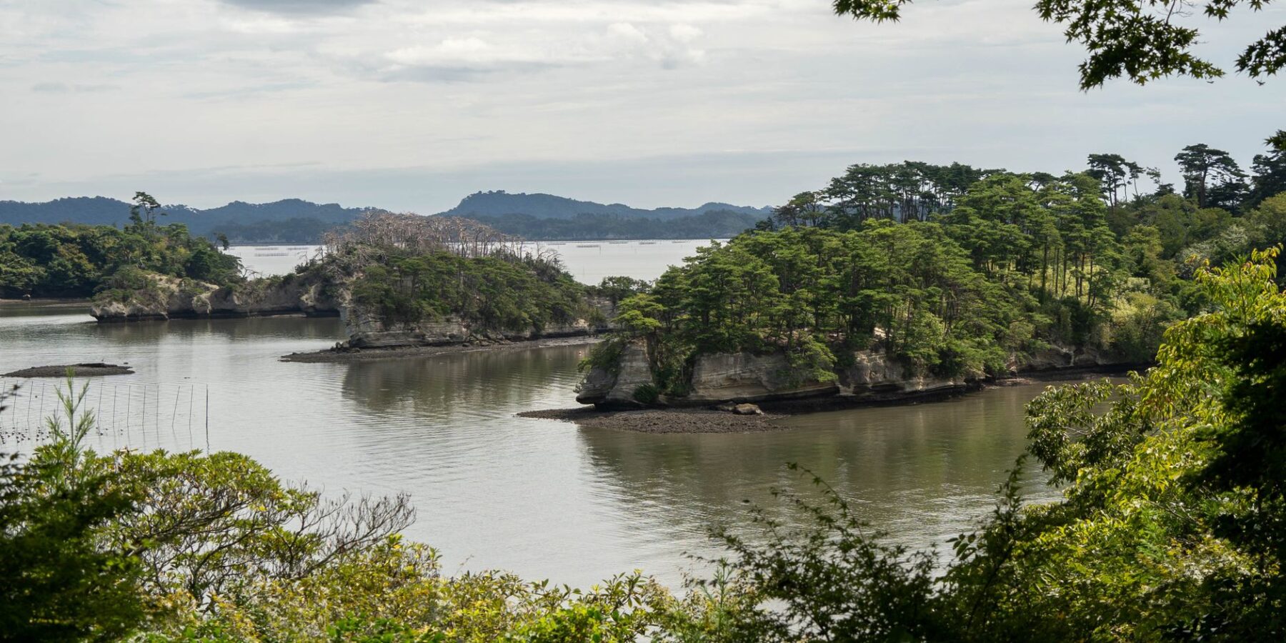 Pine-covered islets in Matsushima Bay, Miyagi
