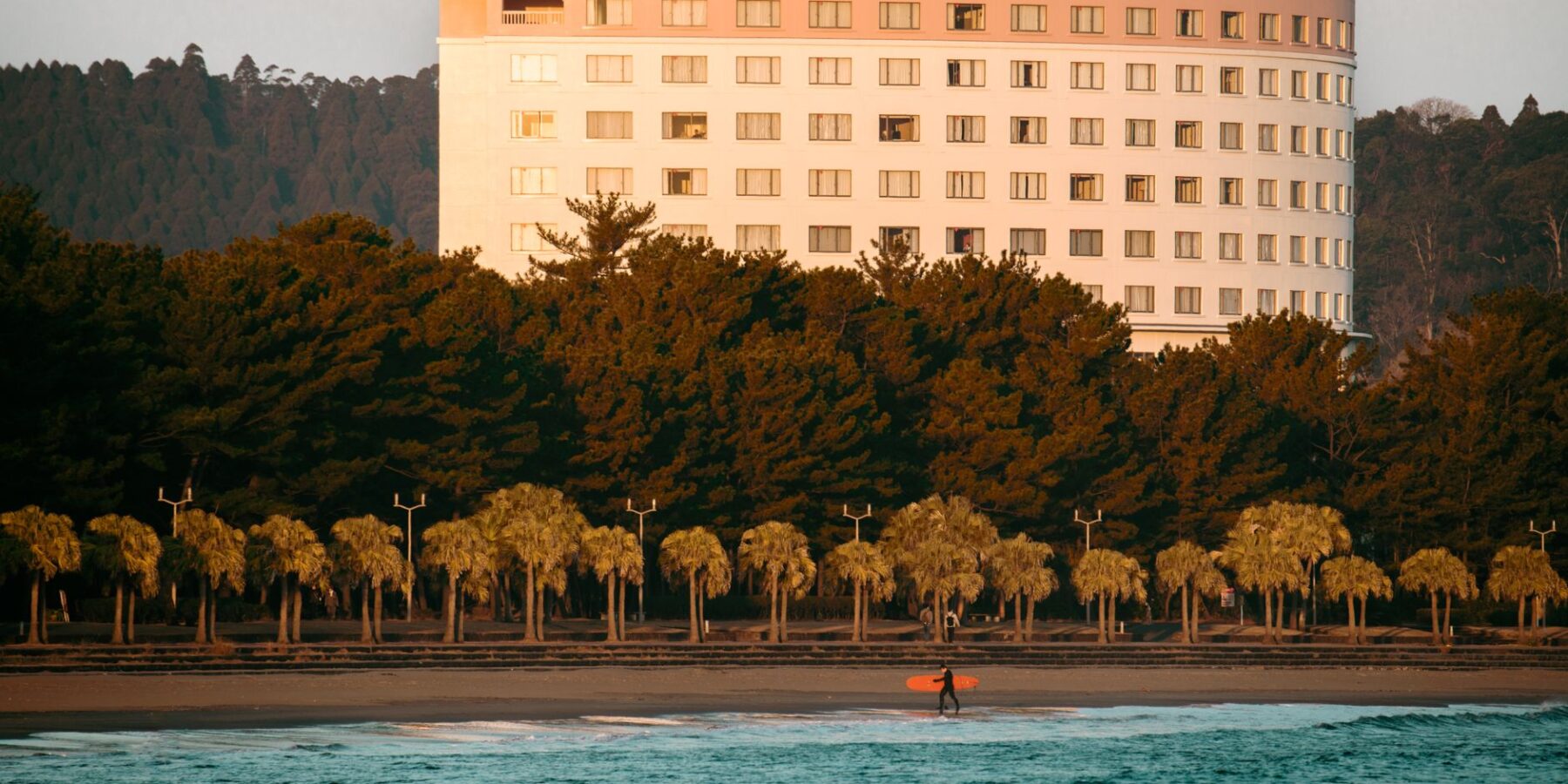 Surfer on a palm-lined beach in Miyazaki at sunrise