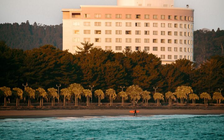 Surfer on a palm-lined beach in Miyazaki at sunrise