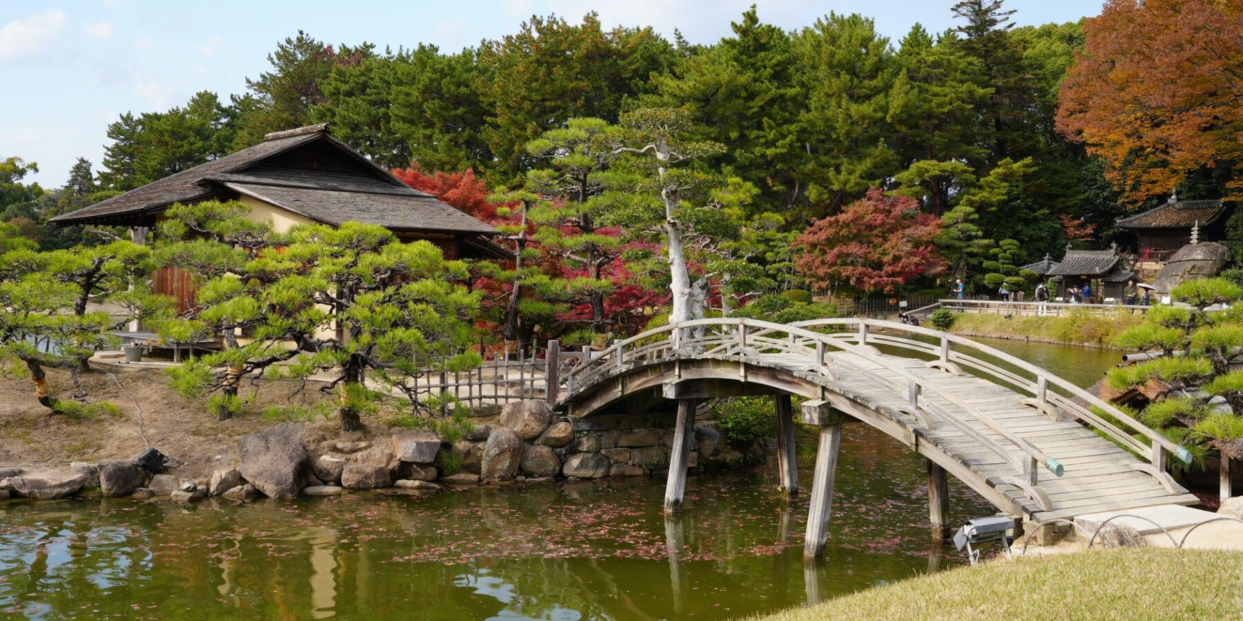 Arched wooden bridge, pines and a teahouse in Okayama Korakuen Garden in autumn