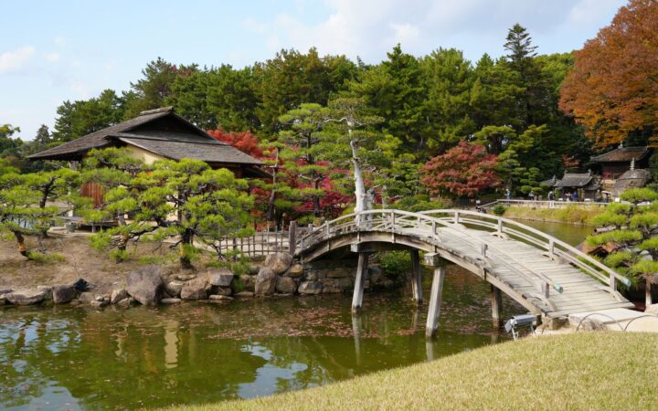 Arched wooden bridge, pines and a teahouse in Okayama Korakuen Garden in autumn
