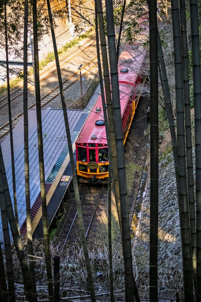 The red Sagano Romantic Train passing through bamboo near Arashiyama, Kyoto
