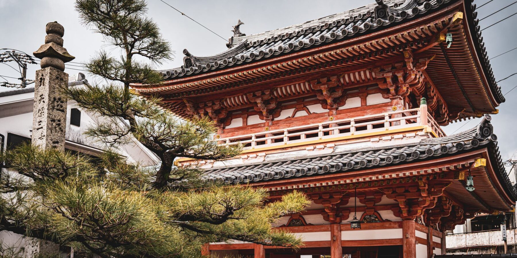 Vermilion temple gate among pine trees on Shodoshima, Kagawa Prefecture, Shikoku